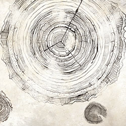 万物生长-原创定制壁画 张杉杉  米兰体育网页版-米兰体育（中国）官方在线登录 - 附件