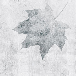 枫叶-原创定制壁画 张杉杉  米兰体育网页版-米兰体育（中国）官方在线登录 - 附件