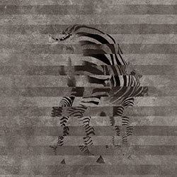 斑马-原创定制壁画 张杉杉  米兰体育网页版-米兰体育（中国）官方在线登录 - 附件