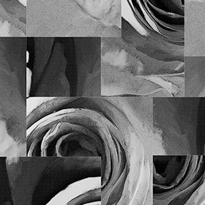 玫瑰-原创定制壁画 刘睿  米兰体育网页版-米兰体育（中国）官方在线登录 - 附件