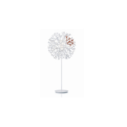 Corallo Lamp�ִ���ص�